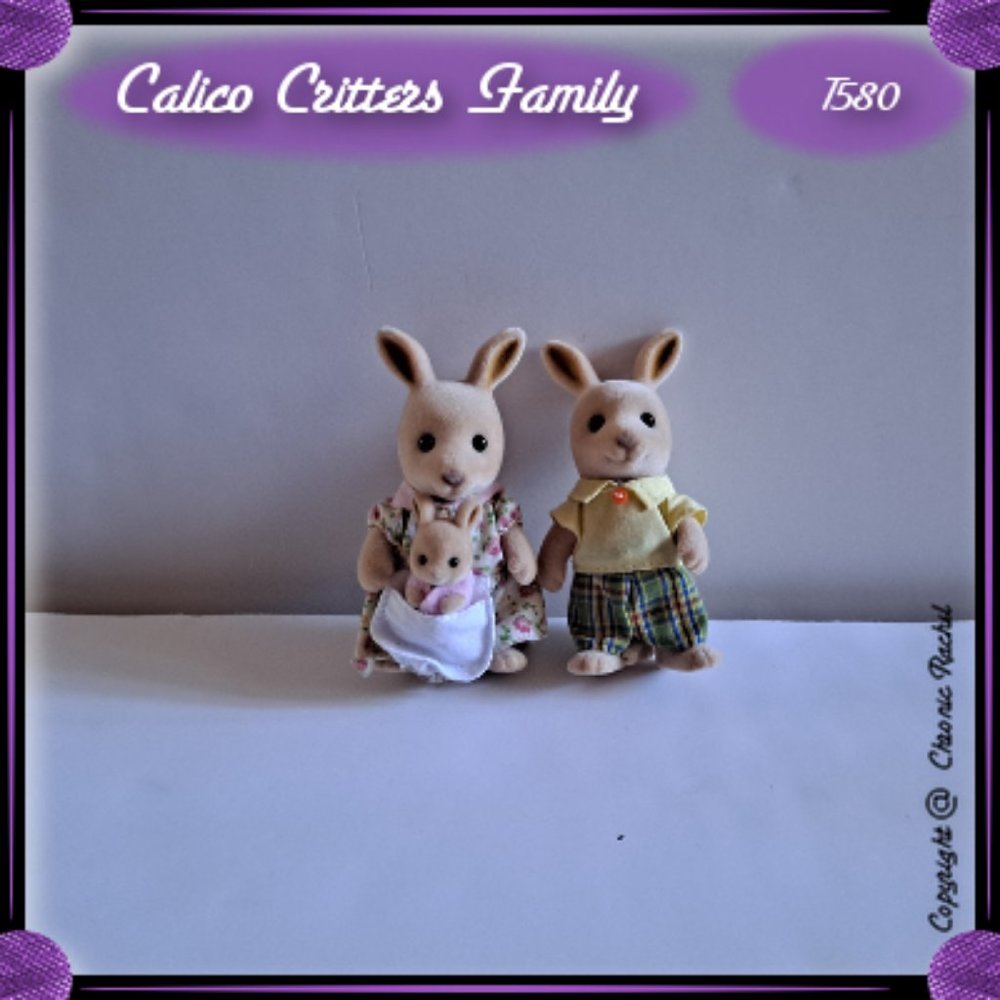 Springer Kangaroo Family